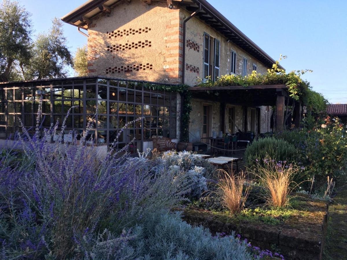 Olimagio Farm With Animals And 25m Pool, At Cycling Distance