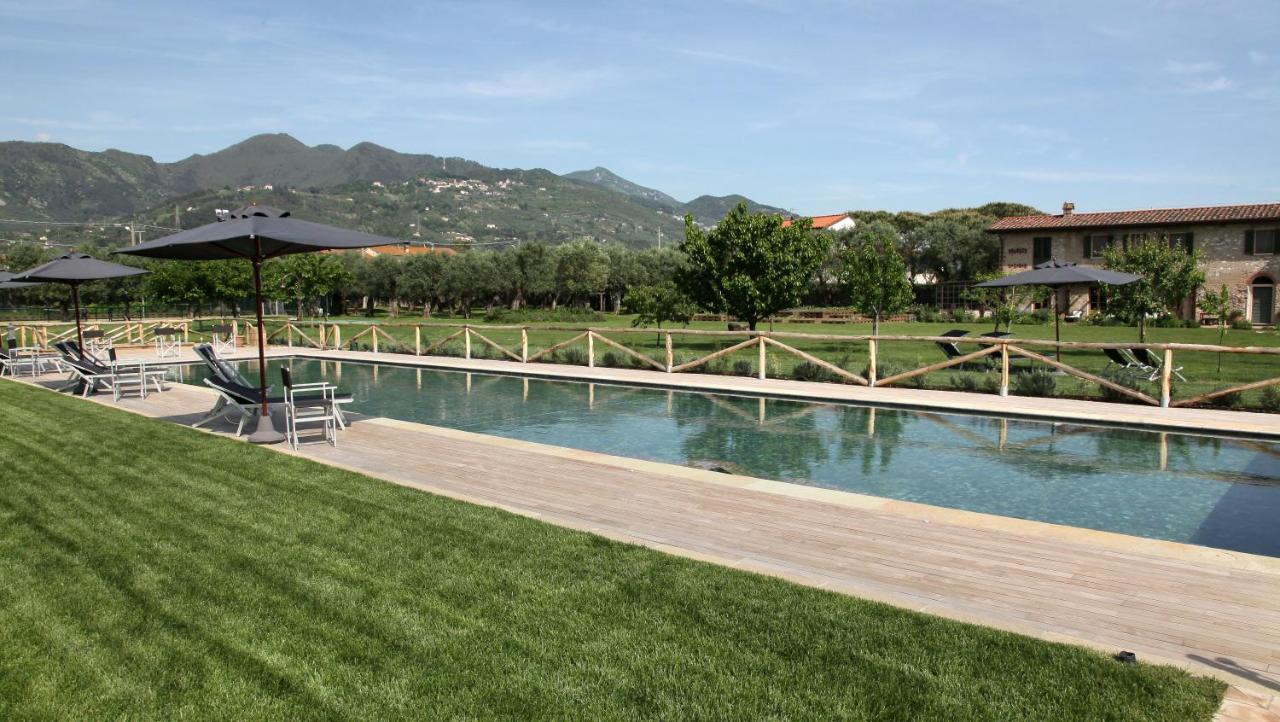 Olimagio Farm With Animals And 25m Pool, At Cycling Distance Country house Pietrasanta