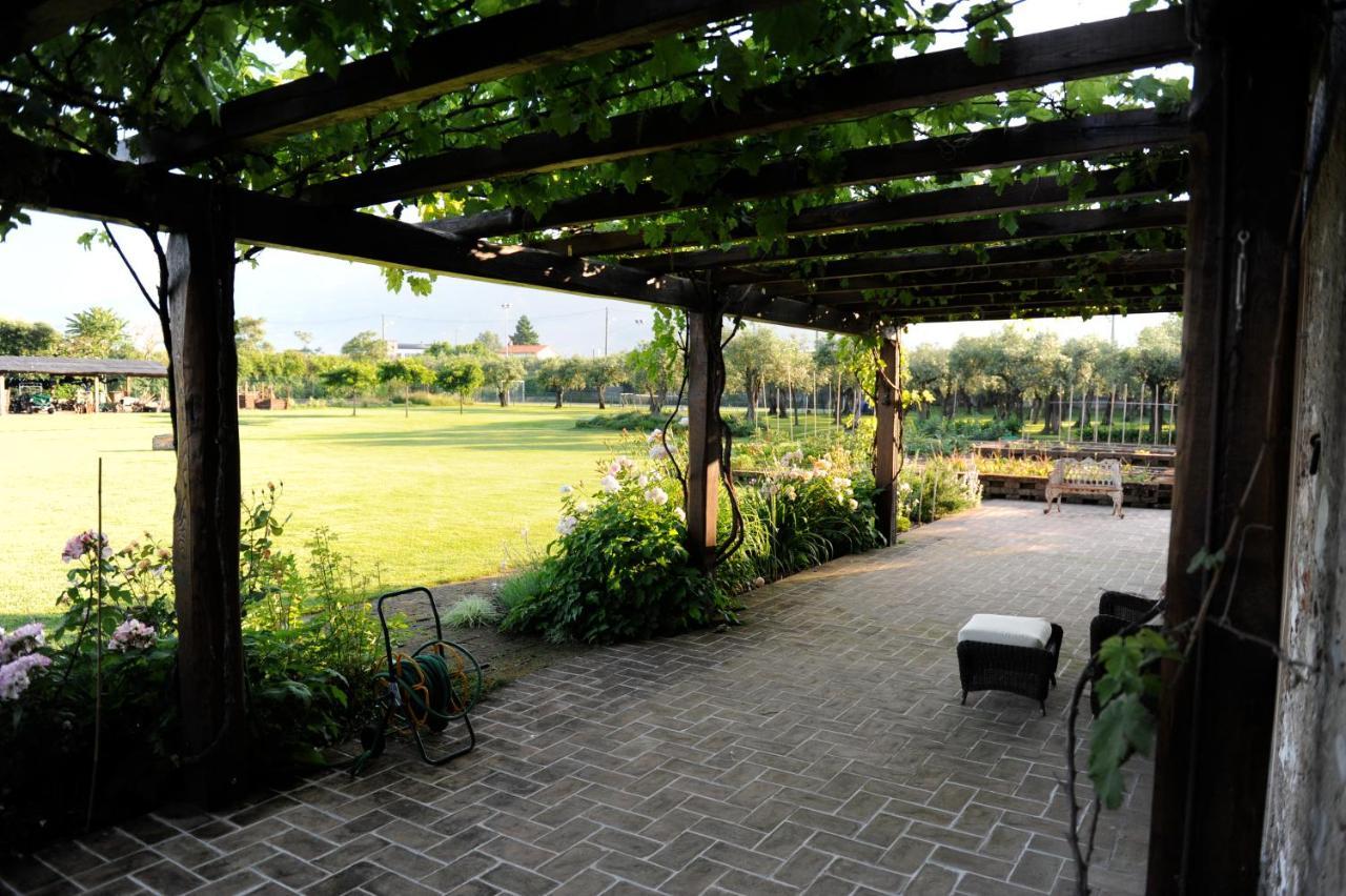 Olimagio Farm With Animals And 25m Pool, At Cycling Distance Country house Pietrasanta