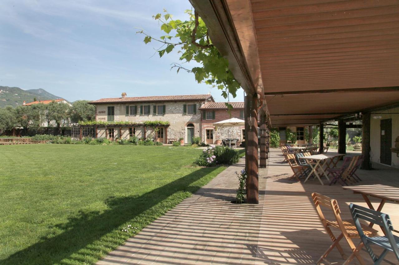 Olimagio Farm With Animals And 25m Pool, At Cycling Distance *