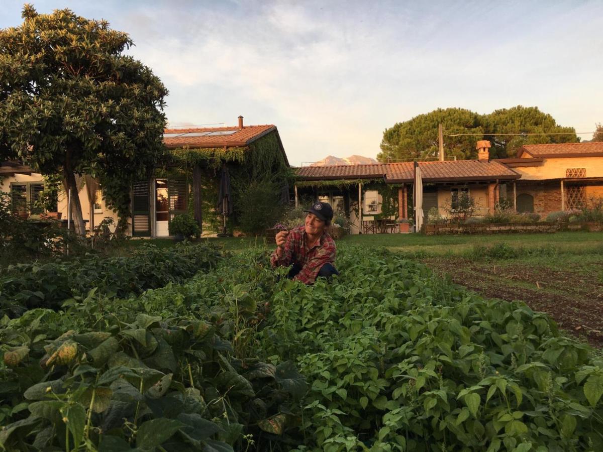 Country house Olimagio Farm With Animals And 25m Pool, At Cycling Distance