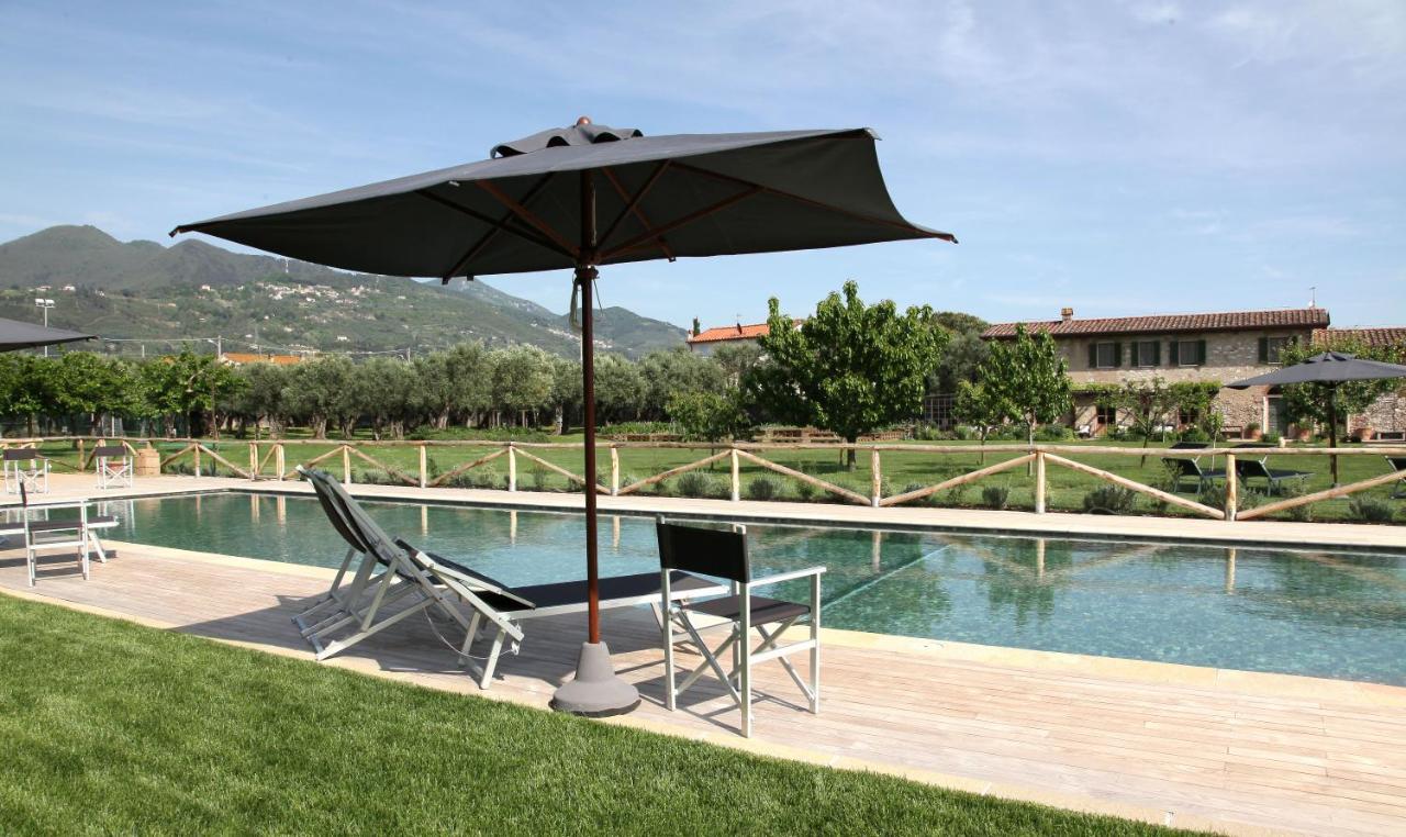 Country house Olimagio Farm With Animals And 25m Pool, At Cycling Distance *