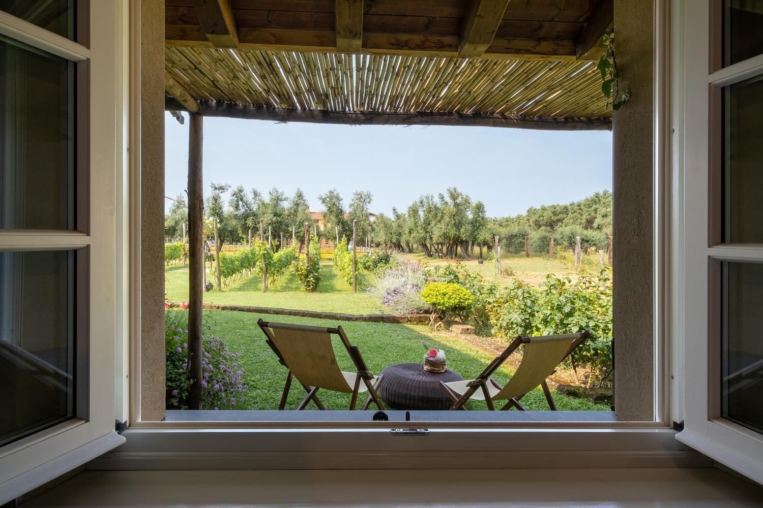 Olimagio Farm With Animals And 25m Pool, At Cycling Distance