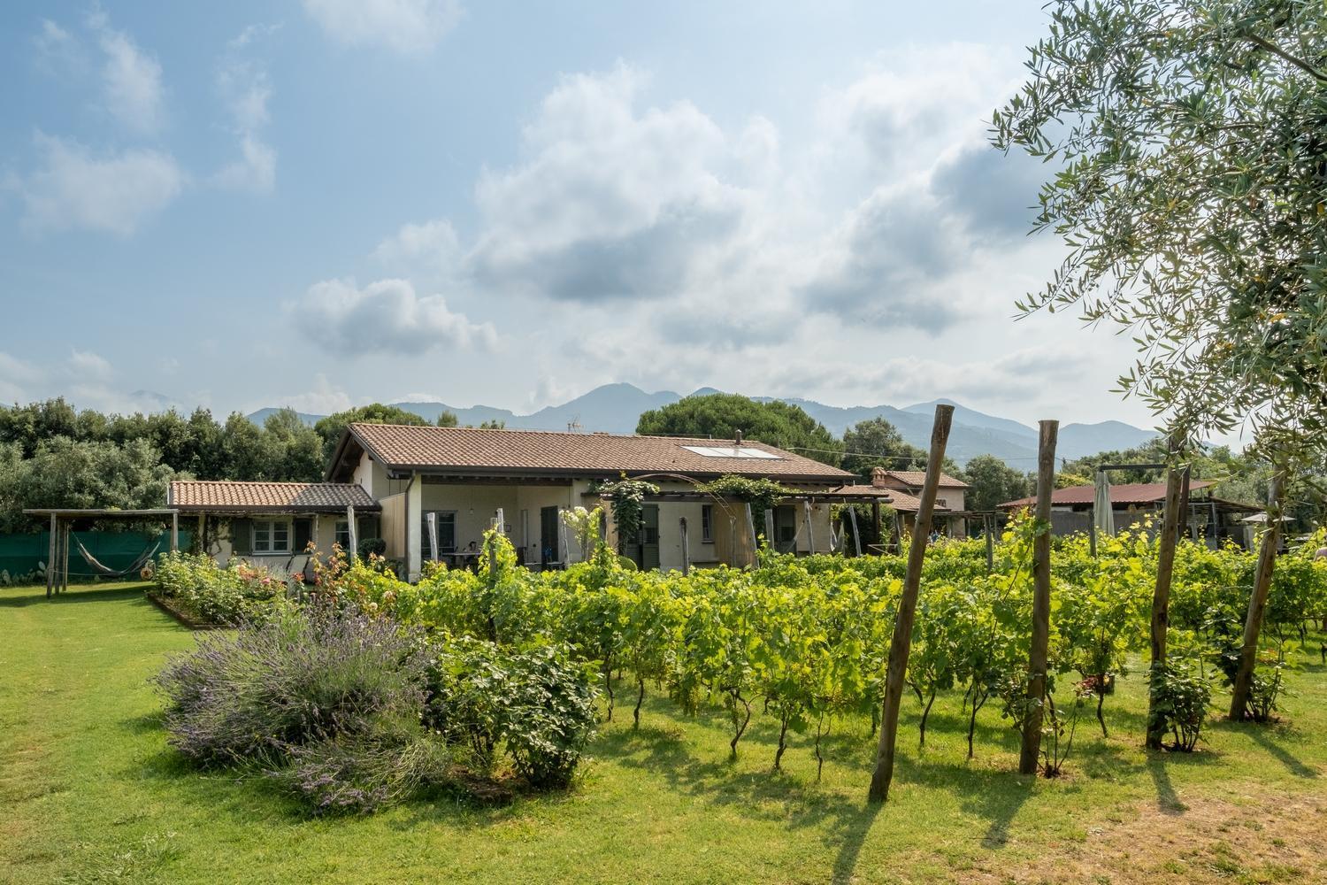Olimagio Farm With Animals And 25m Pool, At Cycling Distance Country house