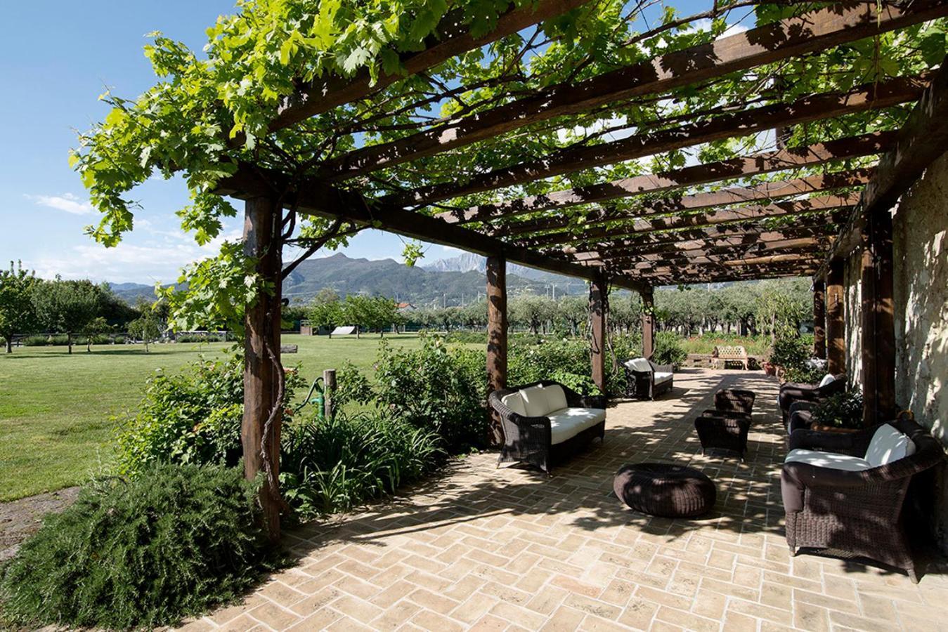 Country house Olimagio Farm With Animals And 25m Pool, At Cycling Distance Pietrasanta