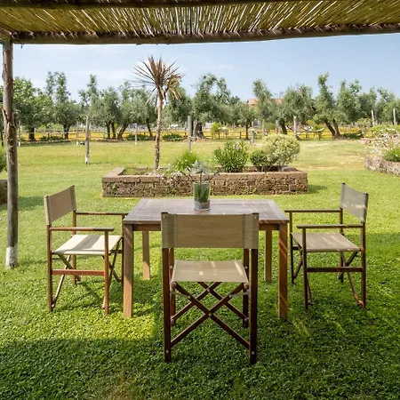 Olimagio Farm Stay With Animals And 25M Pool, Beach At Cycling Distance Pietrasanta Exterior photo