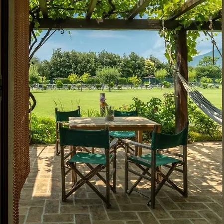 Olimagio Farm Stay With Animals And 25M Pool, Beach At Cycling Distance Pietrasanta Exterior photo