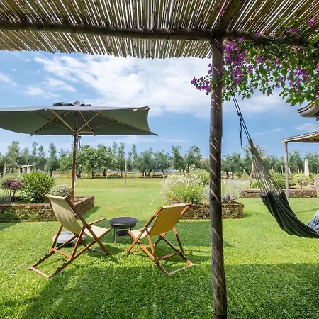 Olimagio Farm Stay With Animals And 25M Pool, Beach At Cycling Distance Pietrasanta Exterior photo