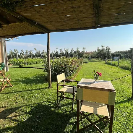Olimagio Farm Stay With Animals And 25M Pool, Beach At Cycling Distance Pietrasanta Exterior photo